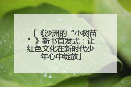 《沙洲的“小树苗”》新书首发式：让红色文化在新时代少年心中绽放