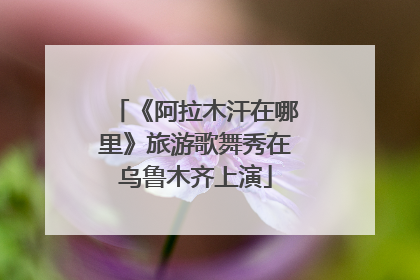 《阿拉木汗在哪里》旅游歌舞秀在乌鲁木齐上演