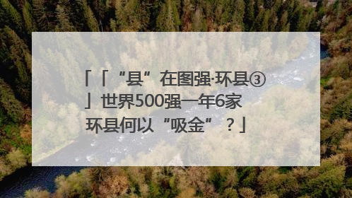 「“县”在图强·环县③」世界500强一年6家 环县何以“吸金”？
