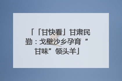 「甘快看」甘肃民勤：戈壁沙乡孕育“甘味”领头羊