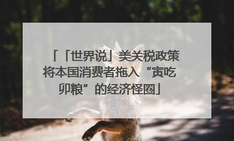 「世界说」美关税政策将本国消费者拖入“寅吃卯粮”的经济怪圈