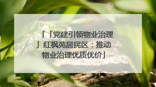 「党建引领物业治理」红枫苑居民区：推动物业治理优质优价