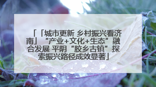 「城市更新 乡村振兴看济南」“产业+文化+生态”融合发展 平阴“胶乡古镇”探索振兴路径成效显著