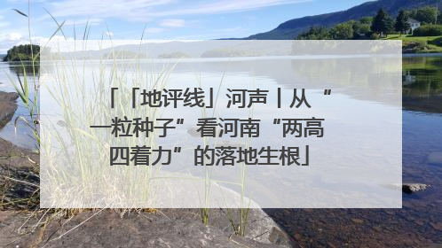 「地评线」河声丨从“一粒种子”看河南“两高四着力”的落地生根