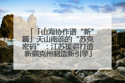 「山海协作谱“新”篇」天山南簏的“苏克密码”：江苏援疆打造新疆克州制造新引擎