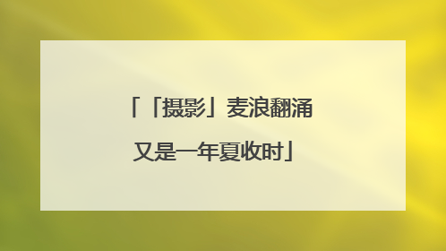 「摄影」麦浪翻涌 又是一年夏收时