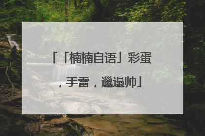 「楠楠自语」彩蛋，手雷，邋遢帅