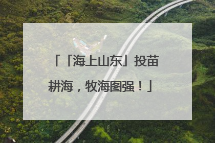 「海上山东」投苗耕海，牧海图强！