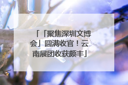 「聚焦深圳文博会」圆满收官！云南展团收获颇丰
