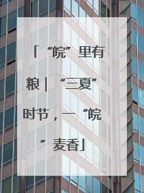“皖”里有粮｜“三夏”时节，一“皖”麦香