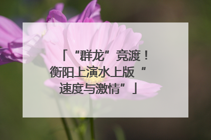 “群龙”竞渡！衡阳上演水上版“速度与激情”