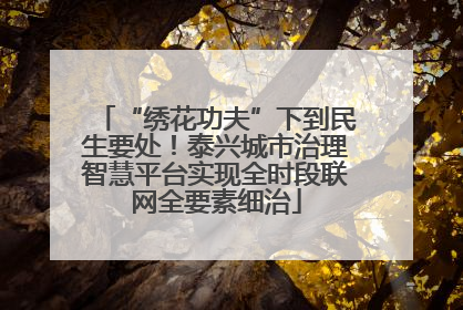“绣花功夫”下到民生要处！泰兴城市治理智慧平台实现全时段联网全要素细治