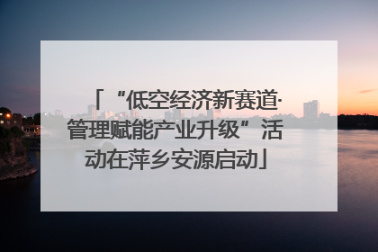 “低空经济新赛道·管理赋能产业升级”活动在萍乡安源启动