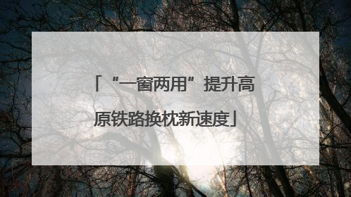 “一窗两用”提升高原铁路换枕新速度