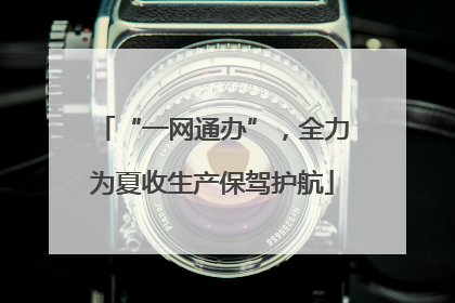 “一网通办”，全力为夏收生产保驾护航