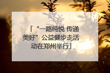 “一路纯悦 传递美好”公益健步走活动在郑州举行
