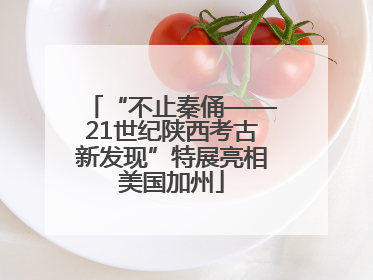 “不止秦俑——21世纪陕西考古新发现”特展亮相美国加州