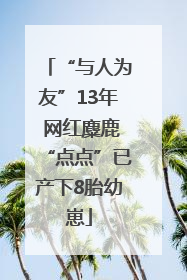 “与人为友”13年 网红麋鹿“点点”已产下8胎幼崽