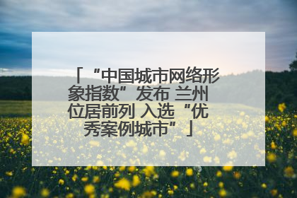 “中国城市网络形象指数”发布 兰州位居前列 入选“优秀案例城市”