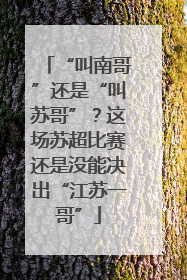 “叫南哥”还是“叫苏哥”？这场苏超比赛还是没能决出“江苏一哥”
