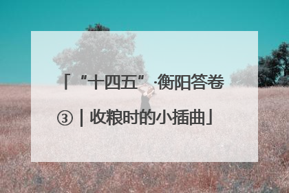 “十四五”·衡阳答卷③｜收粮时的小插曲