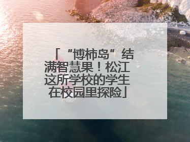 “博柿岛”结满智慧果！松江这所学校的学生在校园里探险
