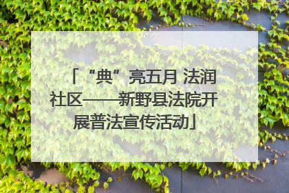 “典”亮五月 法润社区——新野县法院开展普法宣传活动