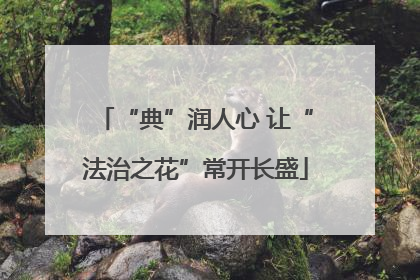 “典”润人心 让“法治之花”常开长盛