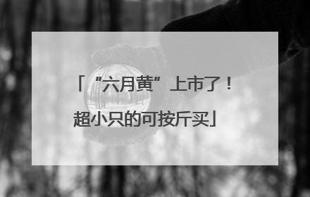 “六月黄”上市了！超小只的可按斤买