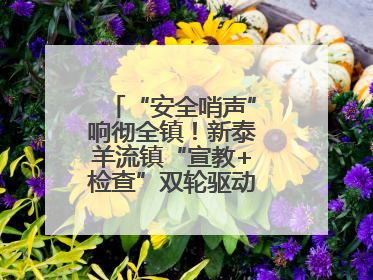 “安全哨声”响彻全镇！新泰羊流镇“宣教+检查”双轮驱动筑牢安全防线