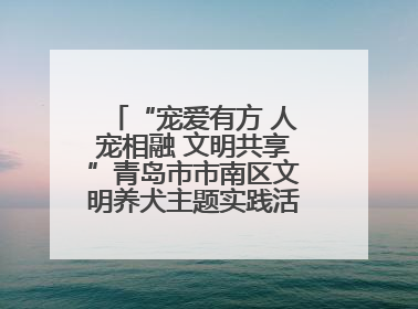 “宠爱有方 人宠相融 文明共享”青岛市市南区文明养犬主题实践活动举办