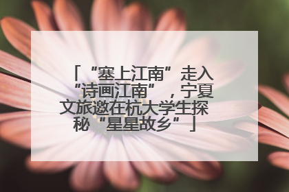 “塞上江南”走入“诗画江南”，宁夏文旅邀在杭大学生探秘“星星故乡”