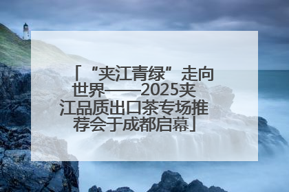 “夹江青绿”走向世界——2025夹江品质出口茶专场推荐会于成都启幕