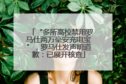 “多所高校禁用罗马仕两万毫安充电宝”，罗马仕发声明道歉：已展开核查
