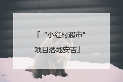 “小红村超市”项目落地安吉