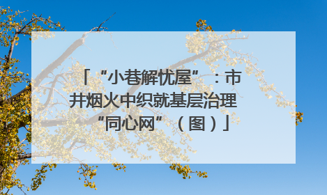“小巷解忧屋”：市井烟火中织就基层治理“同心网”（图）