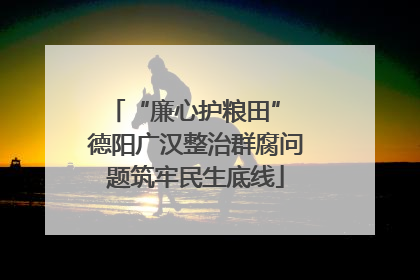 “廉心护粮田” 德阳广汉整治群腐问题筑牢民生底线