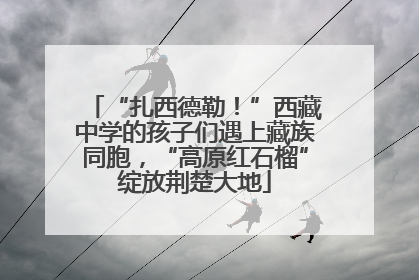 “扎西德勒！”西藏中学的孩子们遇上藏族同胞，“高原红石榴”绽放荆楚大地