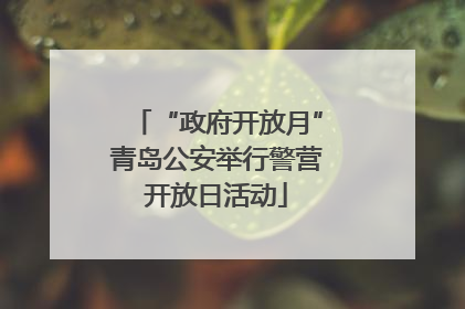 “政府开放月”青岛公安举行警营开放日活动