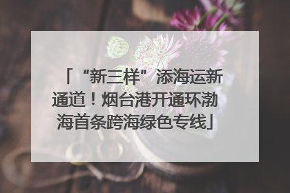 “新三样”添海运新通道！烟台港开通环渤海首条跨海绿色专线