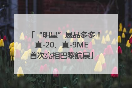 “明星”展品多多！直-20、直-9ME首次亮相巴黎航展