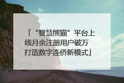 “智慧熊猫”平台上线月余注册用户破万 打造数字连侨新模式