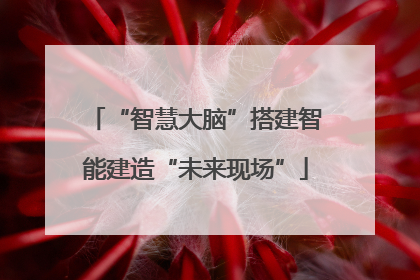 “智慧大脑”搭建智能建造“未来现场”