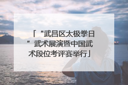 “武昌区太极拳日”武术展演暨中国武术段位考评赛举行
