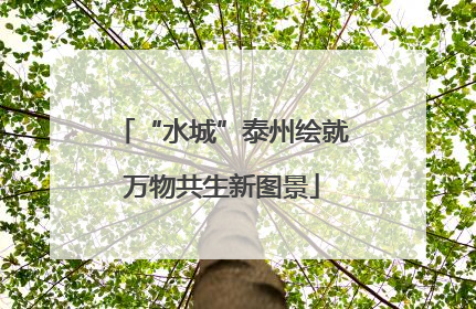“水城”泰州绘就万物共生新图景