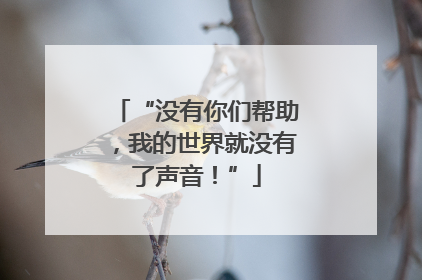 “没有你们帮助，我的世界就没有了声音！”