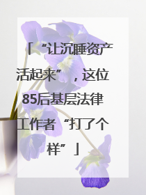 “让沉睡资产活起来”，这位85后基层法律工作者“打了个样”
