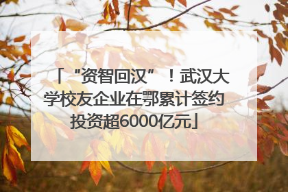 “资智回汉”！武汉大学校友企业在鄂累计签约投资超6000亿元