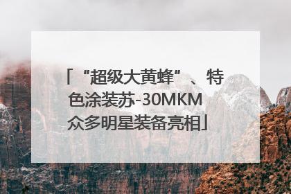 “超级大黄蜂”、特色涂装苏-30MKM 众多明星装备亮相