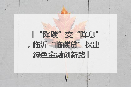 “降碳”变“降息”，临沂“临碳贷”探出绿色金融创新路